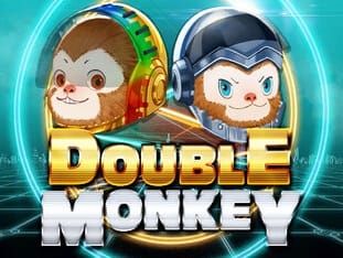 Double Monkey game cover